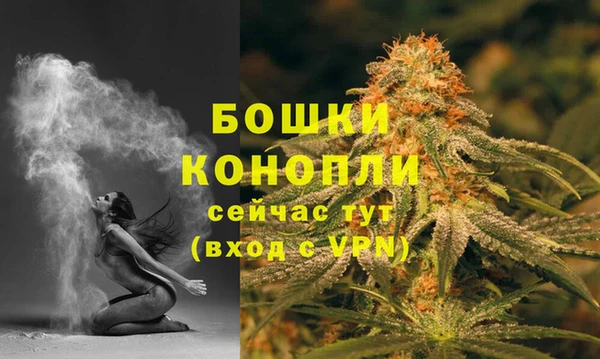 гидра Струнино