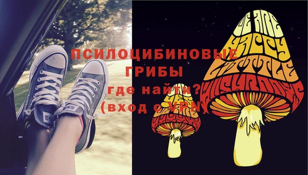гидра Струнино