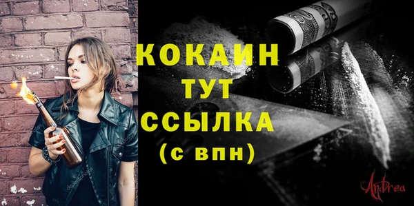 гидра Струнино