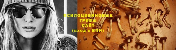 гидра Струнино