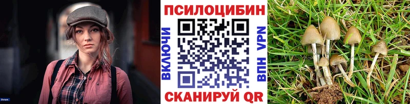 Псилоцибиновые грибы Magic Shrooms  Владикавказ 